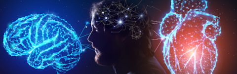 Inteligência emocional no trabalho: como aplicar no dia a dia