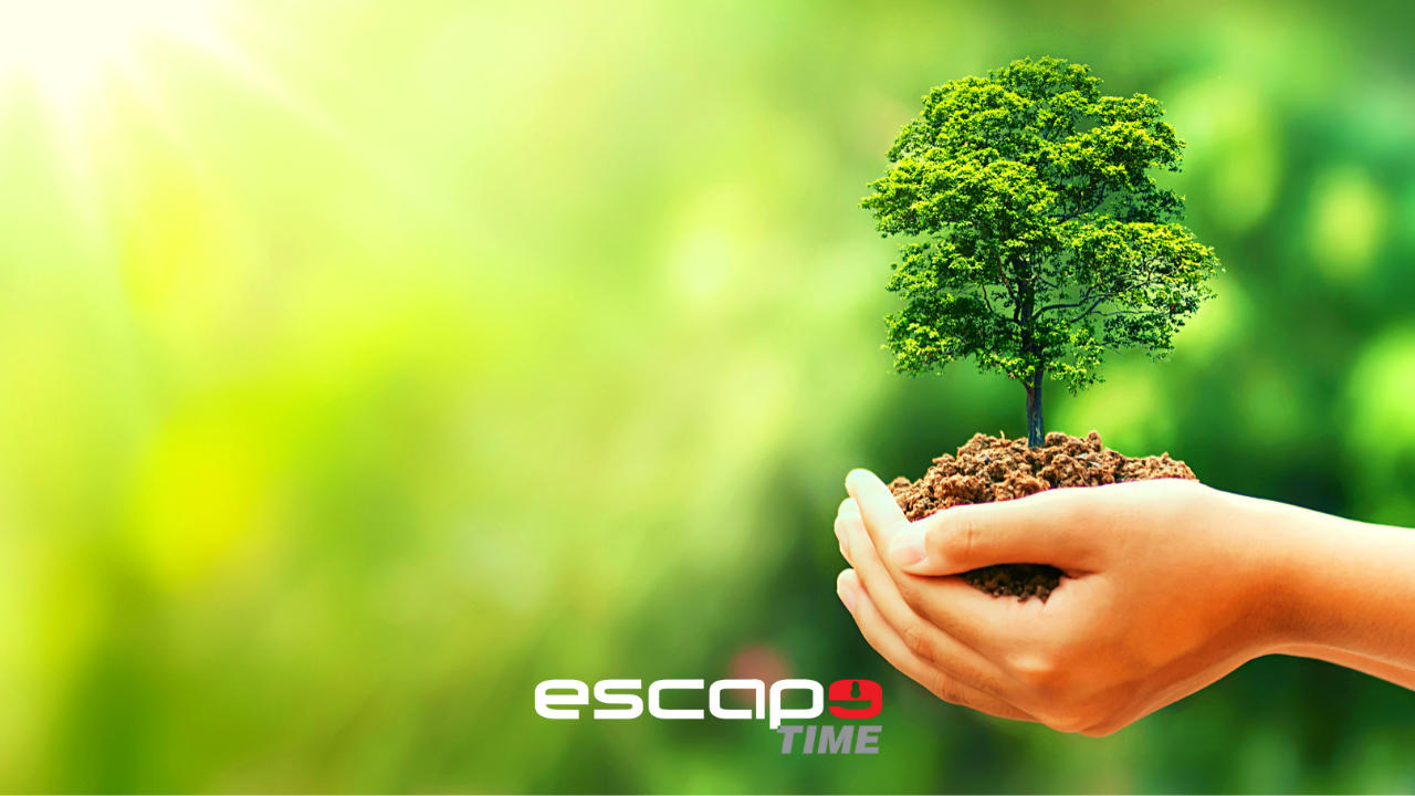 #EscapeCult - National Tree Day 